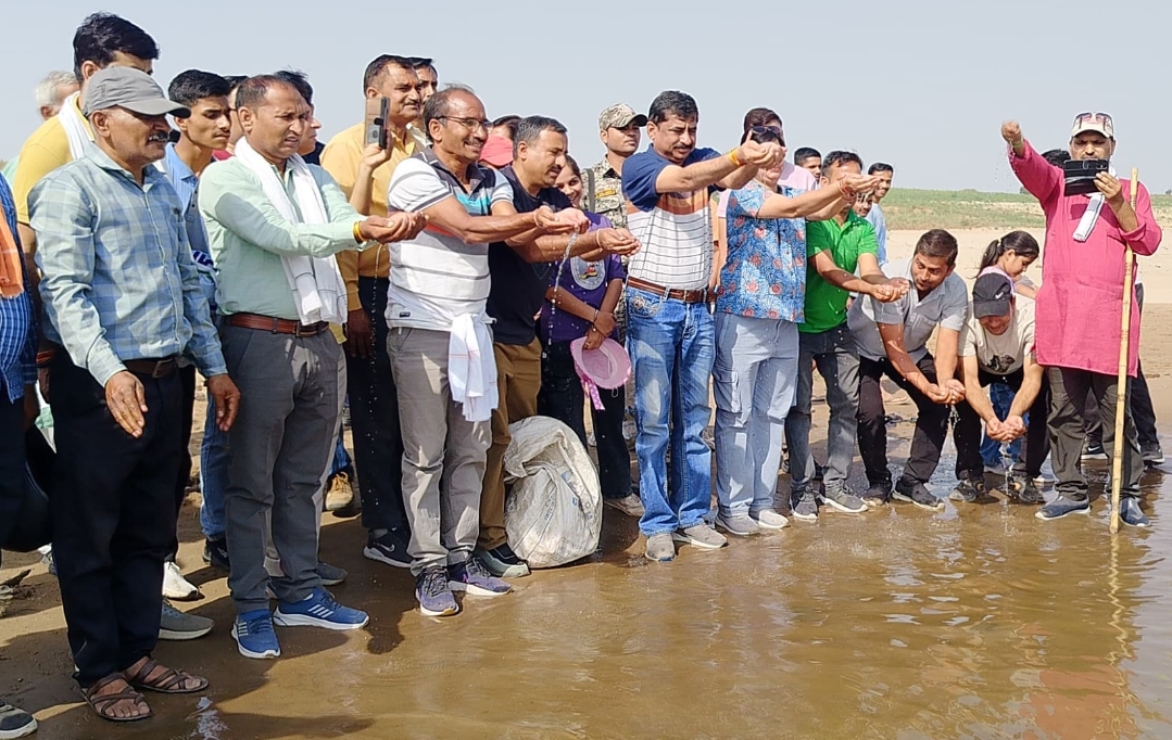 प्रकृति के पोषण में जल संरक्षण की अहम भूमिका,– कलेक्टर